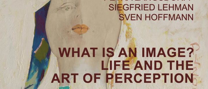 What is an image? Life and the Art of Perception