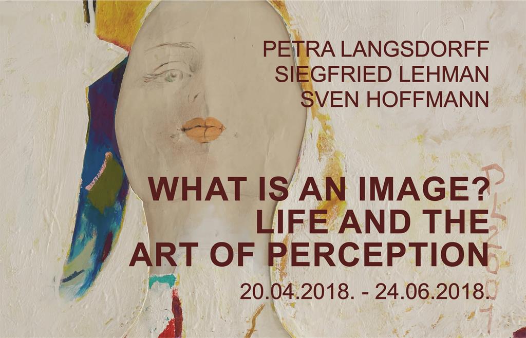 What is an image? Life and the Art of Perception