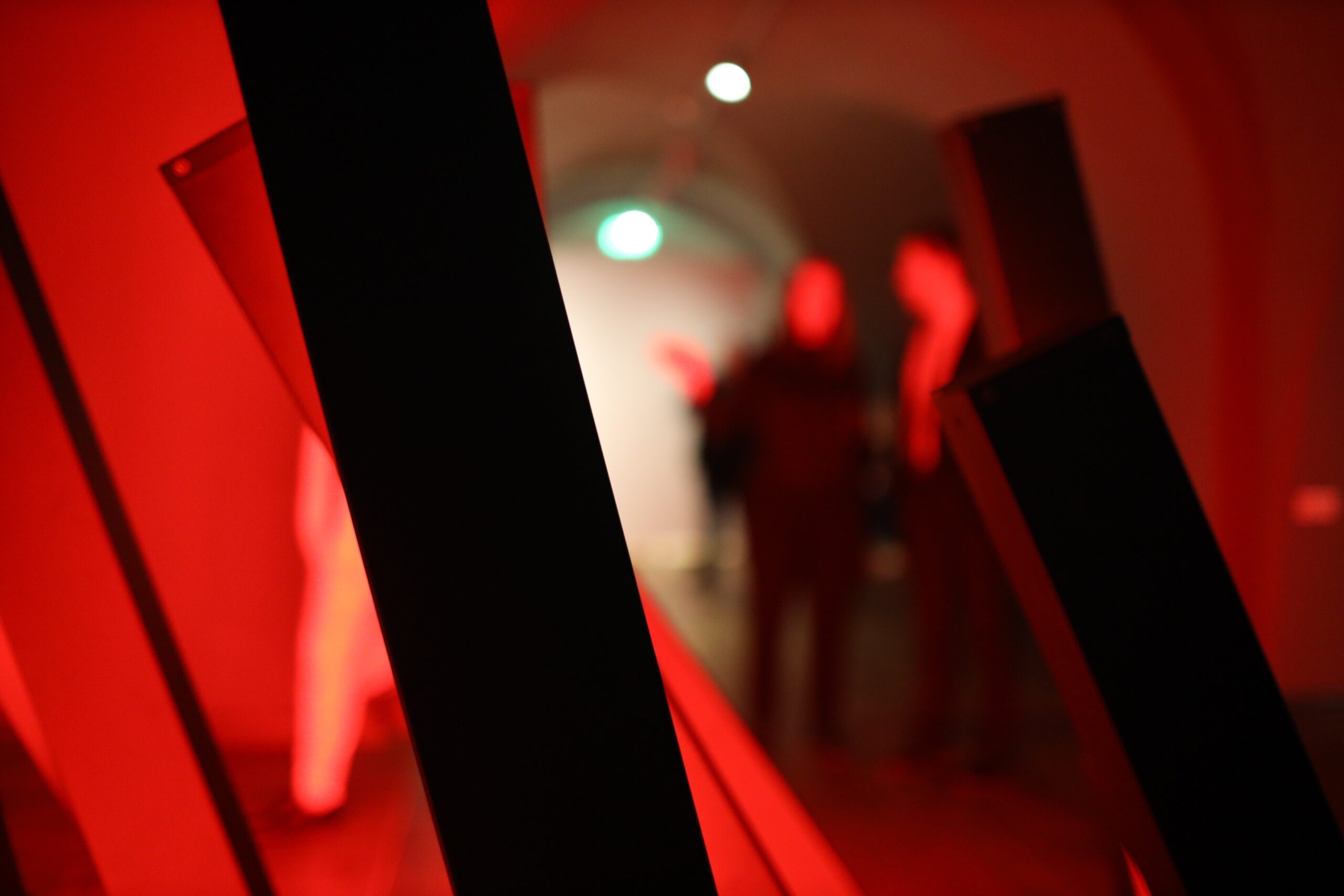 Rotko muzejs aicina darbā ekskursiju gidu