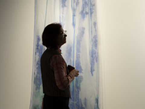 Pavasara izstāžu sezona 2026 27