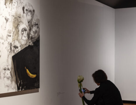 Ziemas izstāžu sezona 2025 23