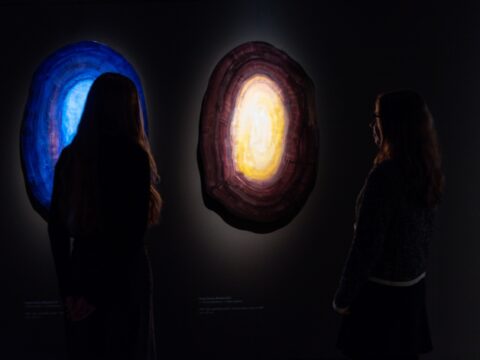 Mark Rothko 2025. Exhibition opening 3