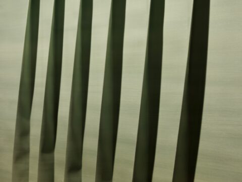 Mark Rothko 2025. Exhibition opening 14
