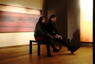 Rothko Art Centre 3 year exhibition season 21